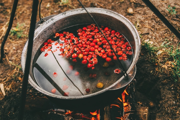 cooking fruit compote on the fire - Организация трапезы в походе: хранение продуктов, походная кухня, утварь, меню