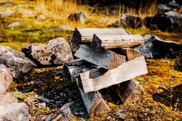 dry wood for the fire camping season - Борщ "Туристический" с грибами и тушёнкой