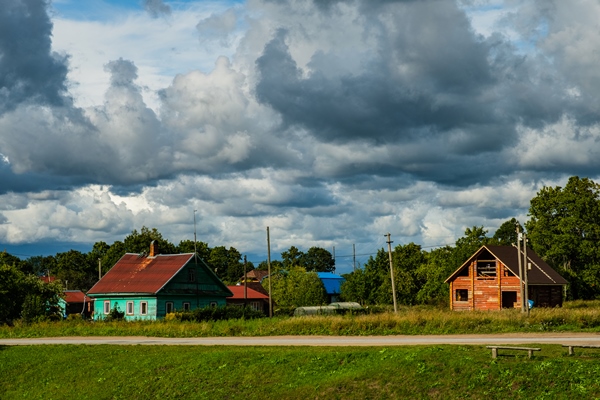 houses in the old village of koporye leningradskaya oblast russia - Иван-чай