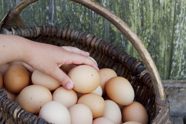 rural still life with child hand and full basket of brown farm eggs - Туристический омлет в пакете