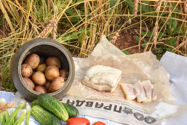 rustic picnic with cucumber potatoes tomatoes and bacon with a bottle of moonshine in a field with agricultural crops wheat field - Картофель с салом и луком