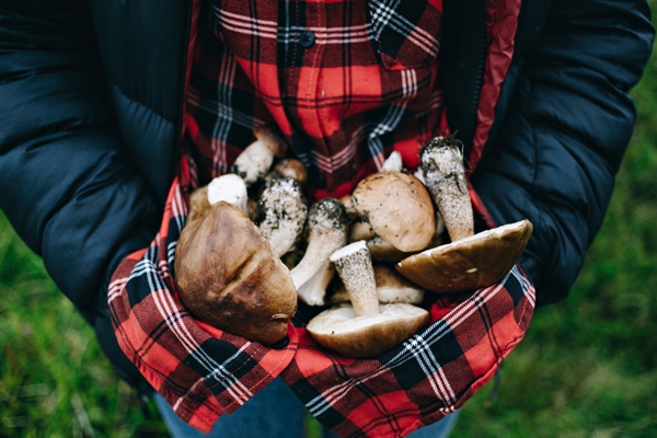 woman hold fresh picked wild mushrooms - Рецепты выживания в лесу