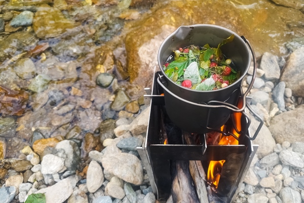 cooking a fresh tasty tea on the fire near a brook during bushcrafting - Чай "Походный"