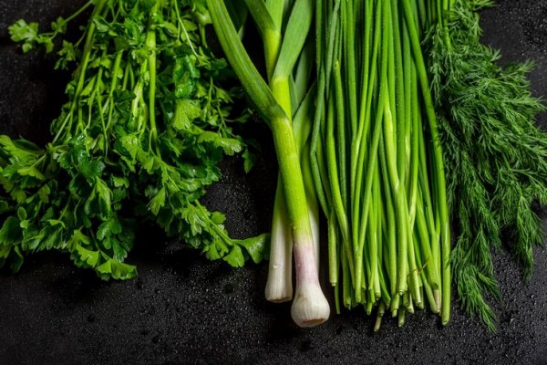 fresh greens dill green onion parsley and garlic on black background 584546 430 - Фасолевый суп по-походному