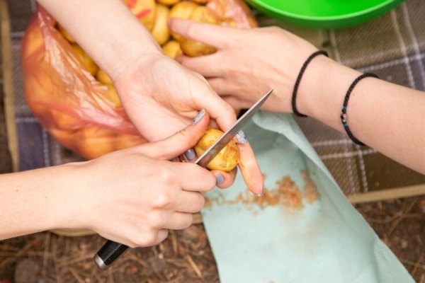 woman hands pilling potatoes preparing and peeling food on camping holiday hikers preparing 328515 64 - Туристический грибной суп