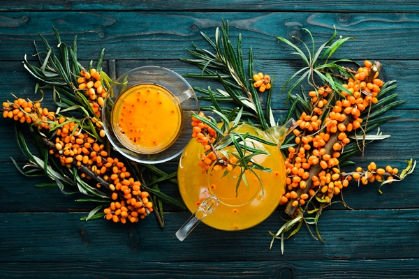 drink from sea buckthorn berries winter hot drink fresh sea buckthorn on a twig top view free space for your - Сбор, заготовка и переработка дикорастущих плодов, ягод и грибов