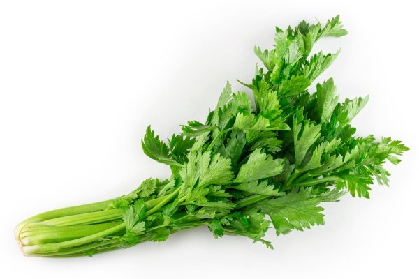 celery isolated on white background 434193 7361 - Картофельные зразы с овощной начинкой