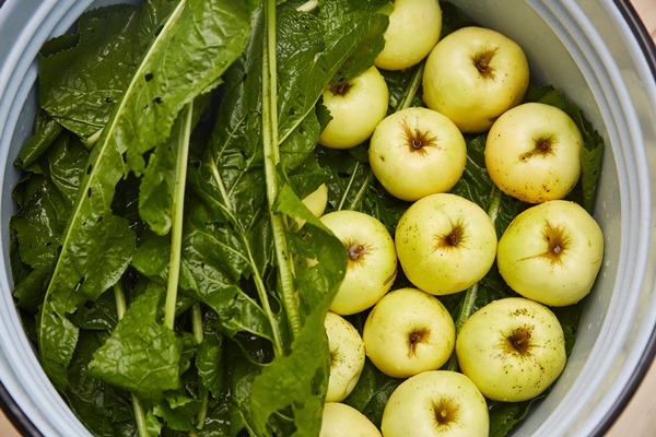 fermented vegetables and fruits - Мочёные яблоки в холодном рассоле