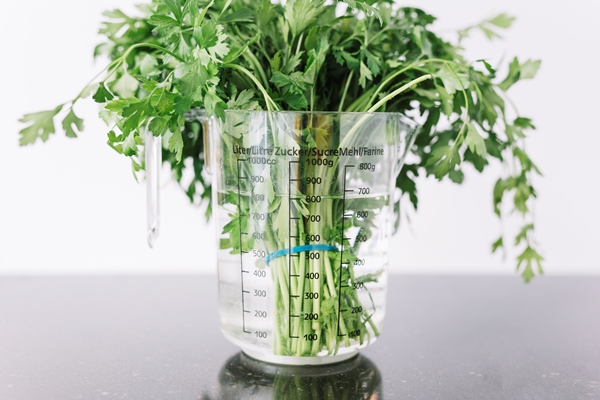 close up of parsley in measuring jar - Кулинарные секреты для одиноких