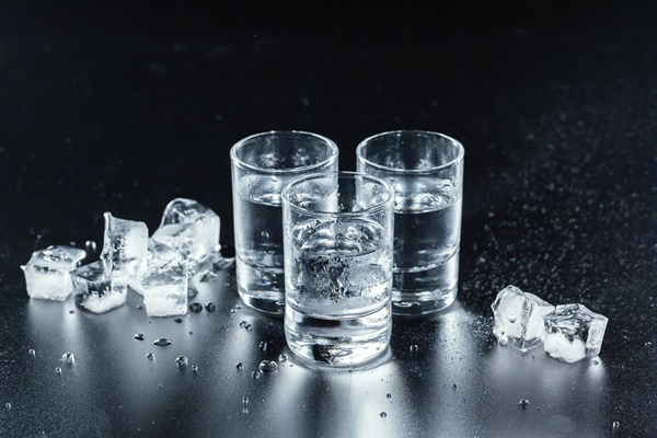 cold vodka in shot glasses - Старинные секреты приготовления мясных бульонов