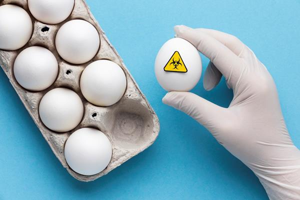gmo modified egg food in cardboard - Секреты приготовления яиц всмятку, "в мешочек" и вкрутую. Пошаговая инструкция