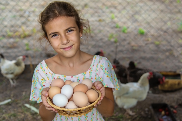 the child picks up the eggs in the chicken coop selective focus kid - Секреты приготовления яиц всмятку, "в мешочек" и вкрутую. Пошаговая инструкция