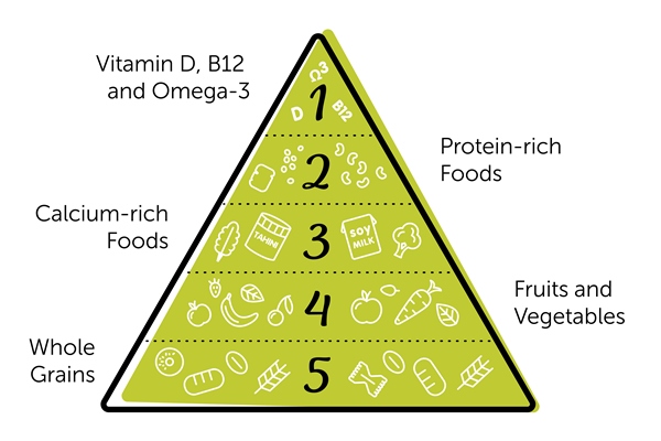 220 - Пирамида питания