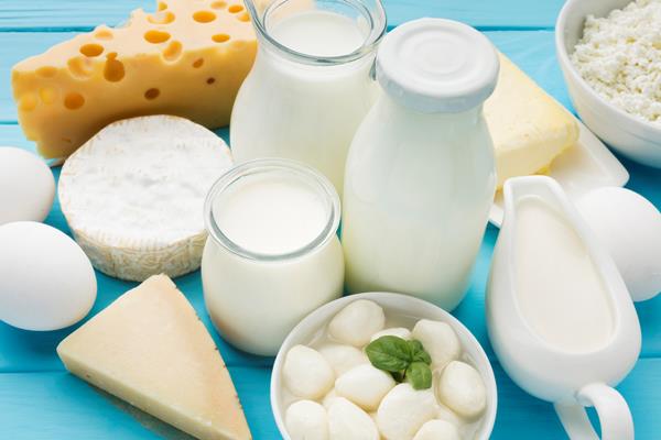 close up organic milk with gourmet cheese - Пирамида питания