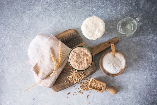 the rye and wheat leaven for bread is active starter sourdough fermented mixture of water and flour to use as leaven for bread baking the concept of a healthy die - Морской хлеб с изюмом и цукатами