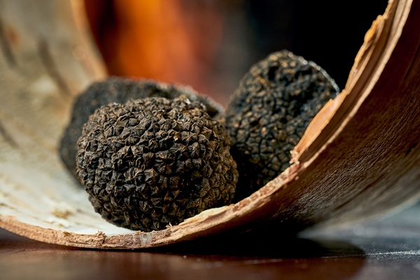 a whole black truffle on bark selective focus close up noise grain in post production - Салат "Оливье" (старинный рецепт)