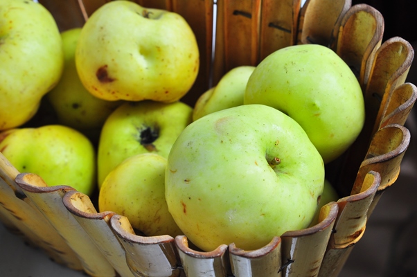 antonov apples - Святочные кулинарные традиции. Гусь с яблоками