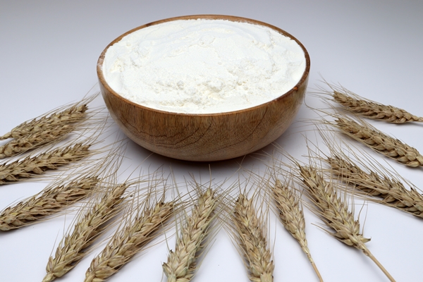 closeup of a bowl full of atta flour surrounded by ripe wheat - Блинцы заварные на кефире