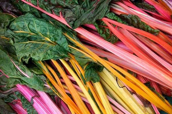 a bunch of rainbow colored rhubarb is on a table - Галета с ревенем