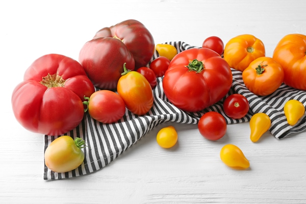 composition of red and yellow tomatoes on white wooden background - Постная галета с помидорами
