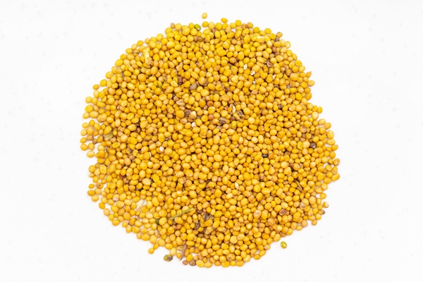 pile of yellow seeds of mustard close up on gray - Соус "Релиш" с маринованными огурчиками и горчицей