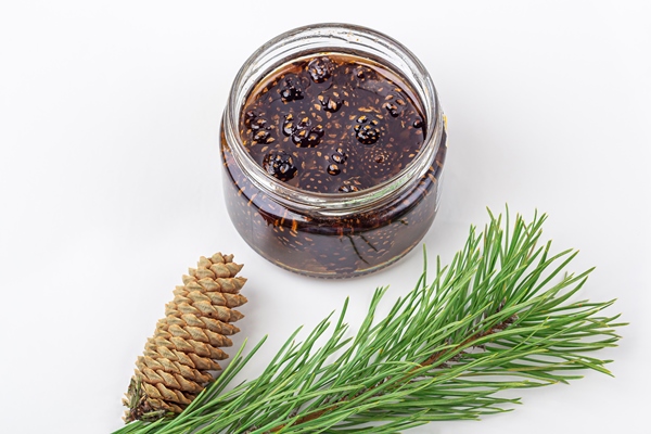 unusual jam from pine cones in glass jar on white background among pine branches and cones organic and vegetarian sweet dessert close up copy space for text remedy for colds - Варенье из сосновых шишек