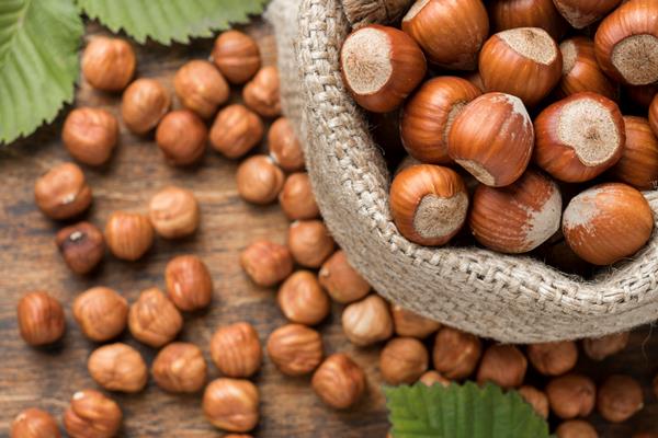 close up view of nuts concept arrangement 1 - Лещина: сроки сбора лесного ореха и рецепт приготовления