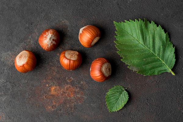 close up view of nuts concept arrangement - Лещина: сроки сбора лесного ореха и рецепт приготовления
