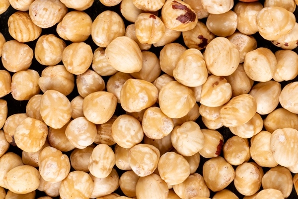 different hazelnuts shelled and cleaned nuts close up - Восточный шербет с орехами