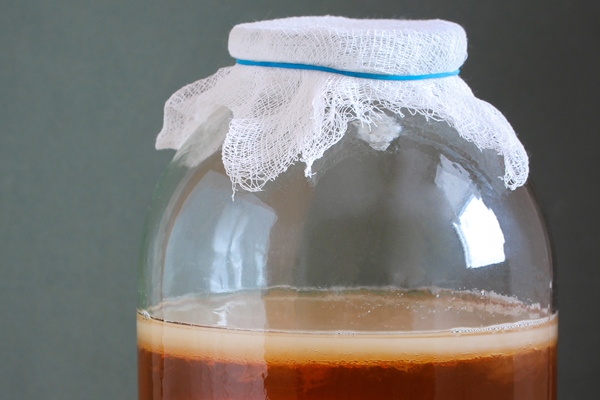 kombucha in a jar homemade sweet and sour drink - Монастырский яблочный уксус