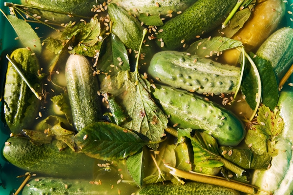 pickled cucumber - Солёные огурцы с яблоками