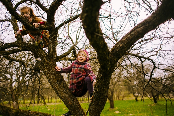 the small daughter sitting on the tree - Лещина: сроки сбора лесного ореха и рецепт приготовления