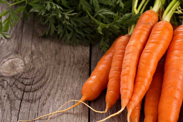 fresh carrot with green leaves - Овощные бульонные кубики