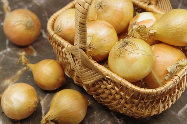 fresh onions harvest in a wicker basket basket with fresh onions closeup - Сухой овощной бульон