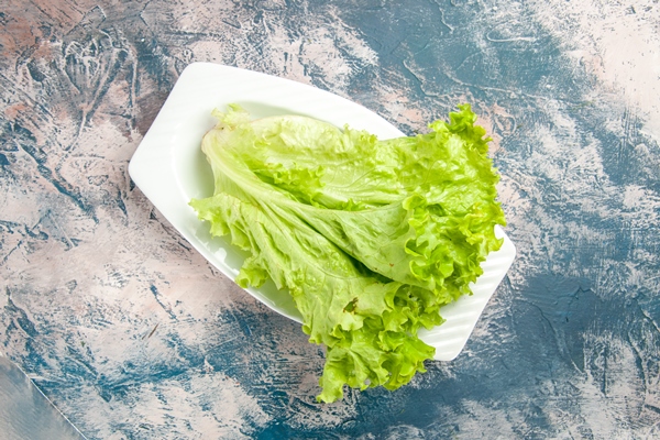 top view fresh green salad inside plate on light blue background - Хот-доги "Собачки"