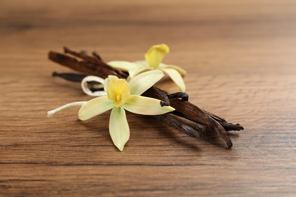 aromatic vanilla sticks and flowers on wooden table closeup - Куркума-латте