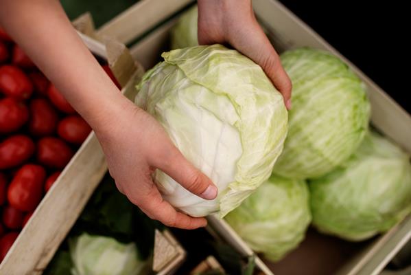 close up on delicious organic cabbage - Салат из белокочанной капусты (школьное питание)
