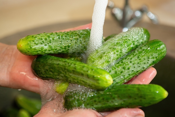 each organic cucumber is thoroughly washed in running water before canning - Салат из капусты с огурцами и помидорами (школьное питание)