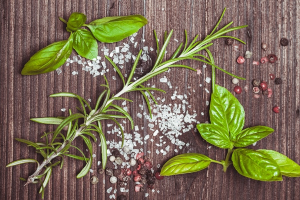 scattered herbs and salt - Постная салатная заправка из оливкового масла с пряными травами и мёдом