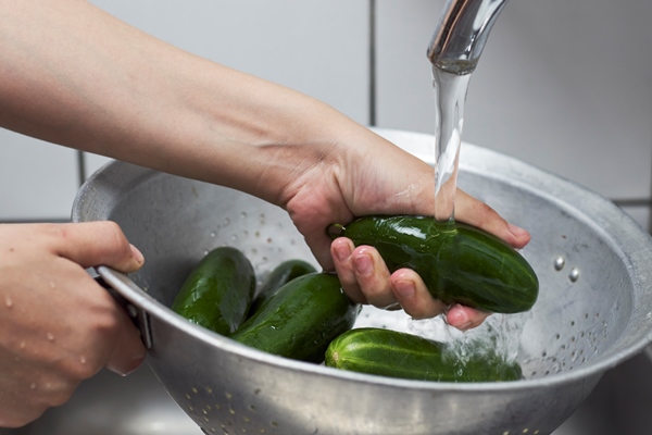 woman washing freshly picked organic cucumbers in colander - Салат из свежих помидоров и огурцов (школьное питание)