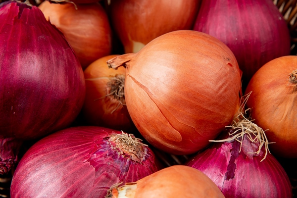 close up view of yellow and red onions - Овощная икра (школьное питание)