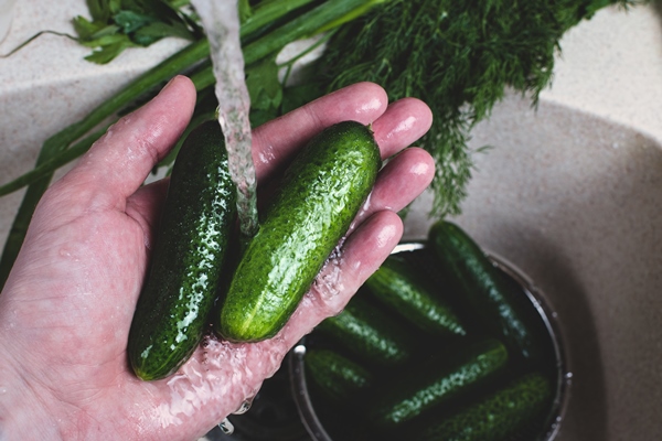man s hand washing fresh cucumbers - Салат из цветной капусты с овощами и яйцом (школьное питание)