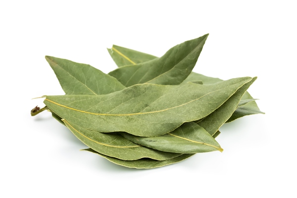 aromatic bay leaf isolated on white background - Овощной суп (школьное питание)