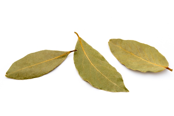 aromatic bay leaves on white - Суп картофельный с макаронами (школьное питание)