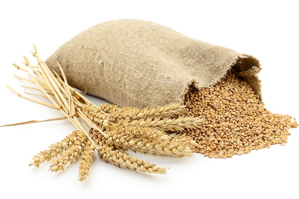 bag of wheat - Каша вязкая молочная пшеничная (школьное питание)