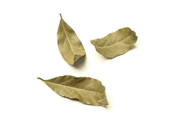 bay leaves scattered isolated on white - Гороховый суп (школьное питание)