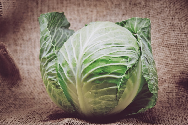 cabbage on burlap background - Рагу из овощей с кабачками (школьное питание)