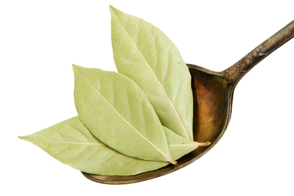 dry laurel leaves in an old spoon on a white background - Суп рыбный с горбушей (школьное питание)