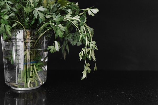 fresh parsley in measuring jar on black background - Суп рыбный с горбушей (школьное питание)