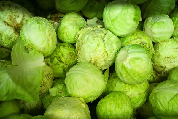 green cabbages in a supermarket cabbage background fresh cabbage from farm field a lot of cabbage at market place - Суп крестьянский с перловой крупой (школьное питание)